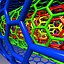Multiwalled Carbon nanotubes