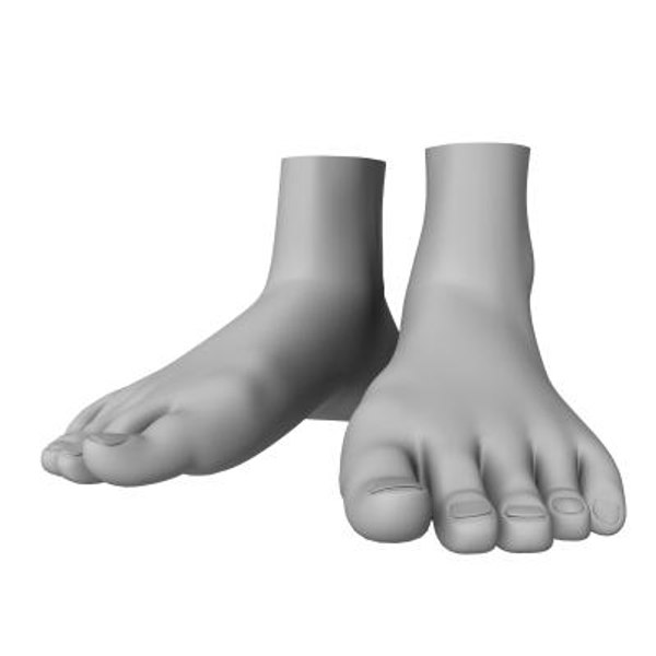 feet foot 3d model