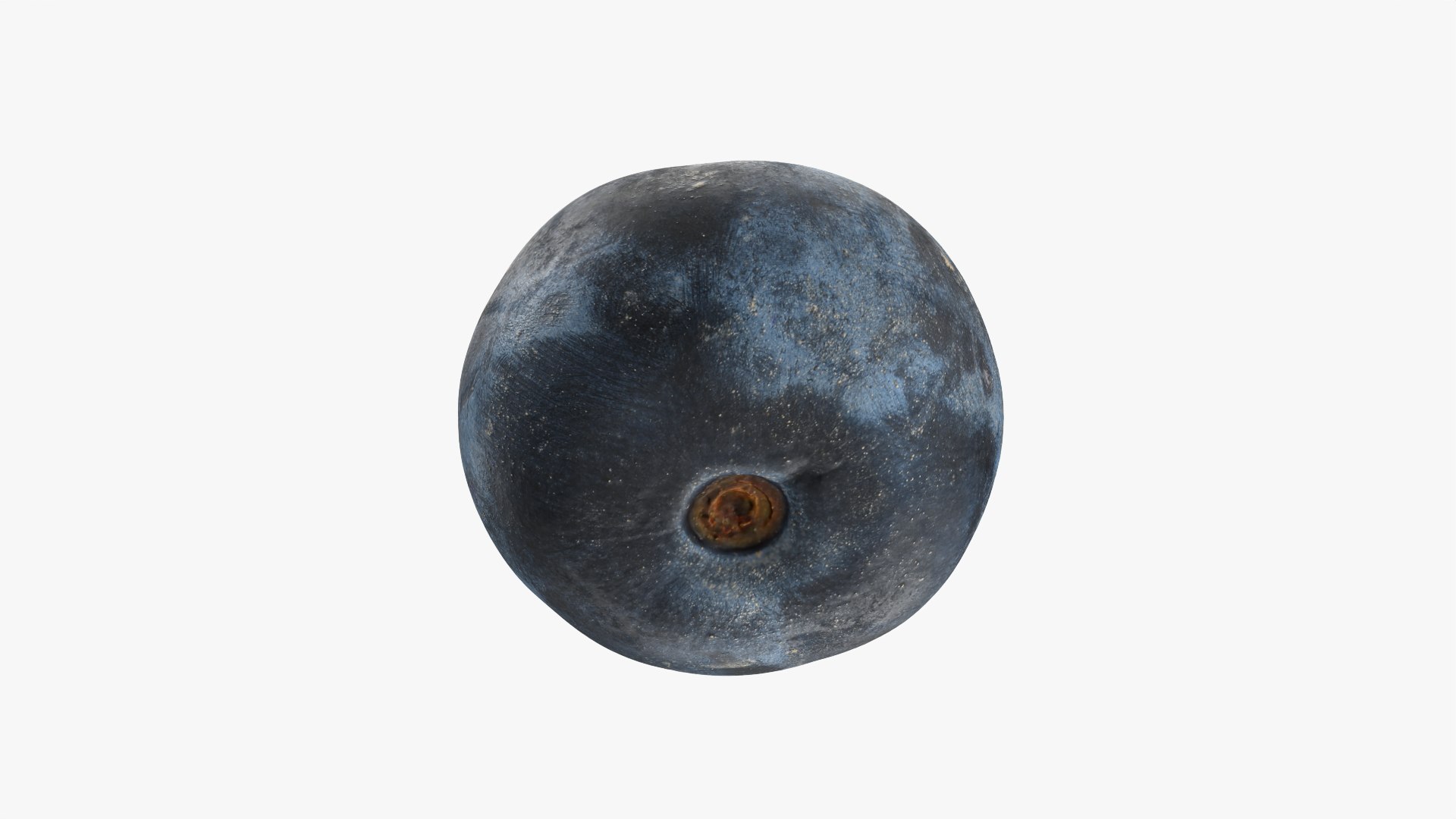 Blueberry - 3D Scanned Collection 3D model https://p.turbosquid.com/ts-thumb/av/CuJTsE/1e/blueberry03_0010/png/1773422940/1920x1080/fit_q87/5b891b49d0b3a55567407af06daa192343a7188c/blueberry03_0010.jpg