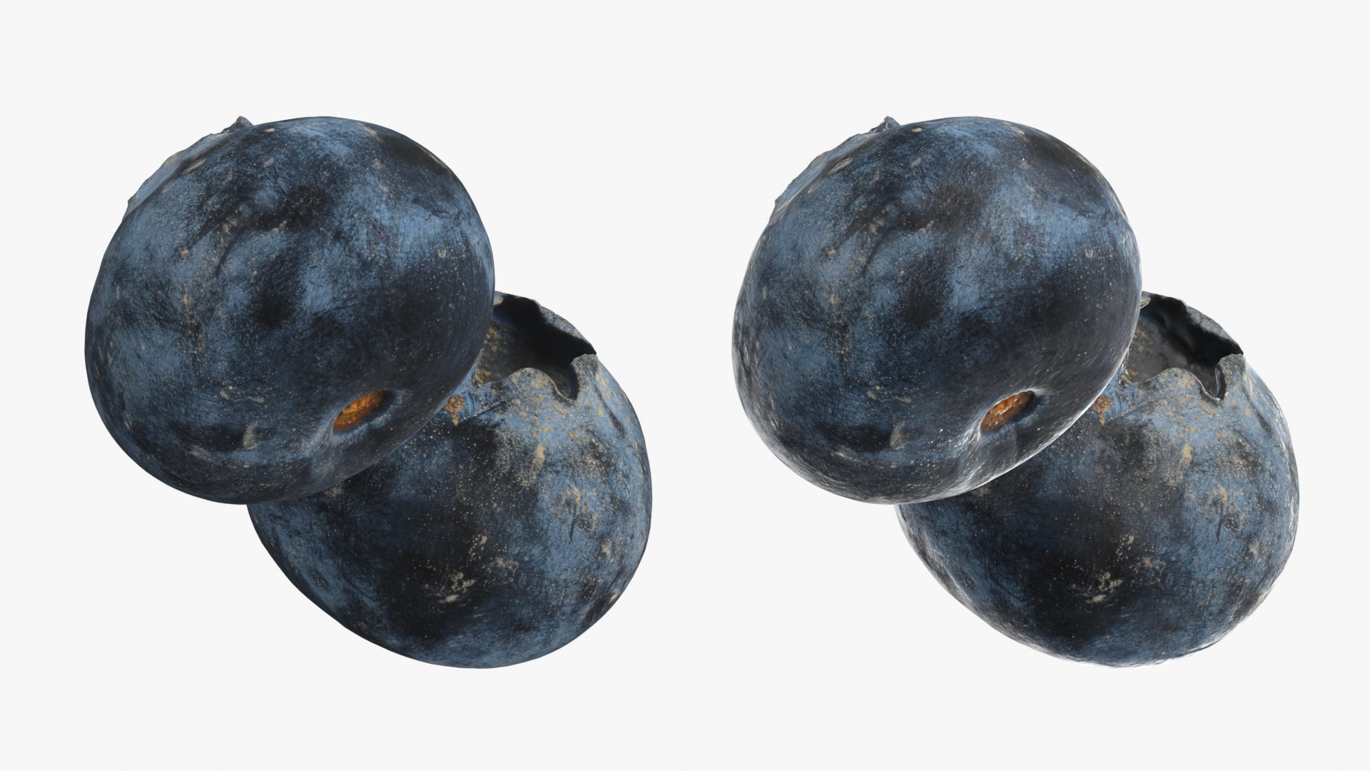 Blueberry - 3D Scanned Collection 3D model https://p.turbosquid.com/ts-thumb/av/CuJTsE/Ap/blueberry03_0001b/png/1773422936/1920x1080/fit_q87/457eed701c8269ccd93452dde38013d711eb3e28/blueberry03_0001b.jpg