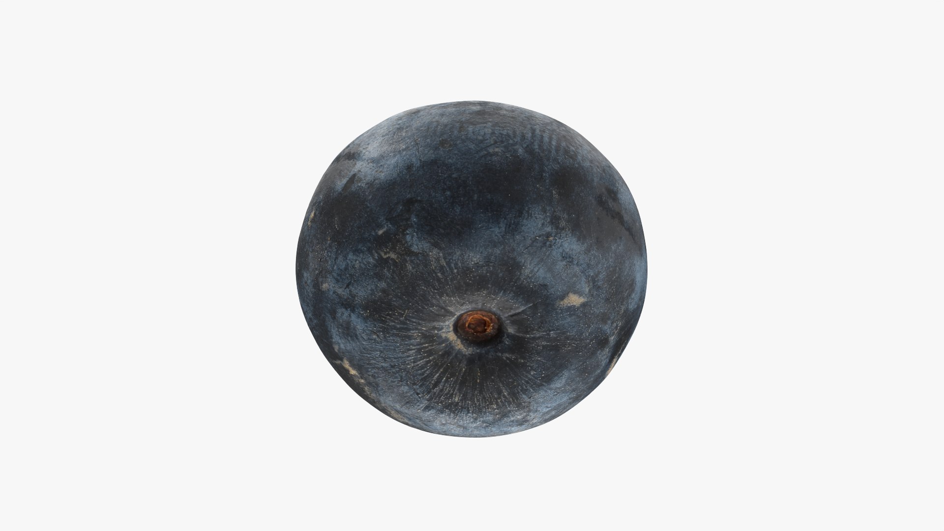 Blueberry - 3D Scanned Collection 3D model https://p.turbosquid.com/ts-thumb/av/CuJTsE/RD/blueberry01_0010/png/1773422906/1920x1080/fit_q87/e863f1042dce0ff48fcde2c5c2009d1a26495879/blueberry01_0010.jpg