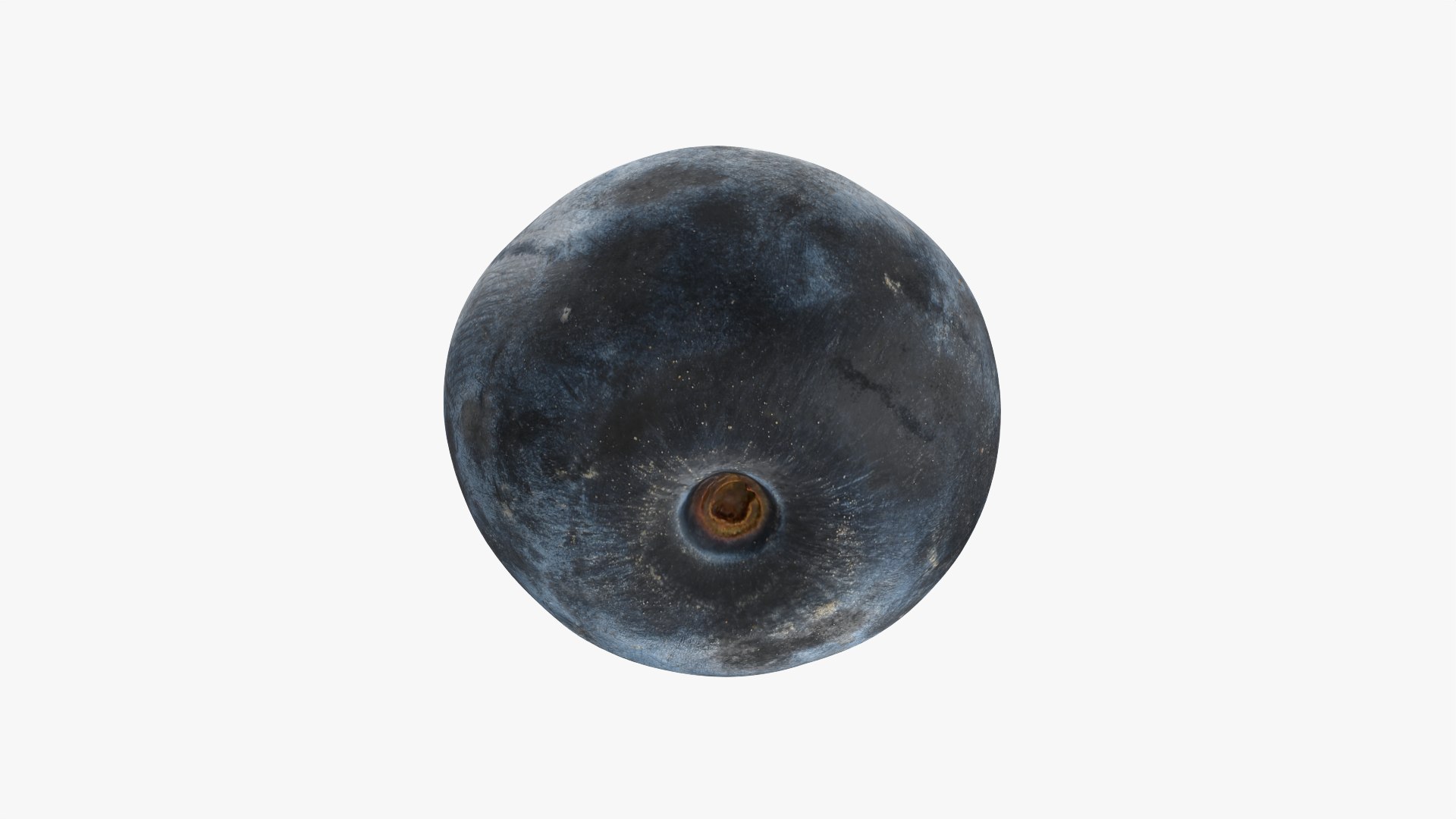 Blueberry - 3D Scanned Collection 3D model https://p.turbosquid.com/ts-thumb/av/CuJTsE/Sk/blueberry02_0010/png/1773422922/1920x1080/fit_q87/9bb2300acb280ce64b4ea18fdfc9ef28ad41830a/blueberry02_0010.jpg
