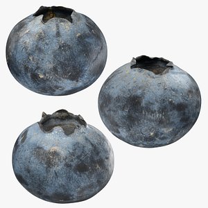 Blueberry - 3D Scanned Collection