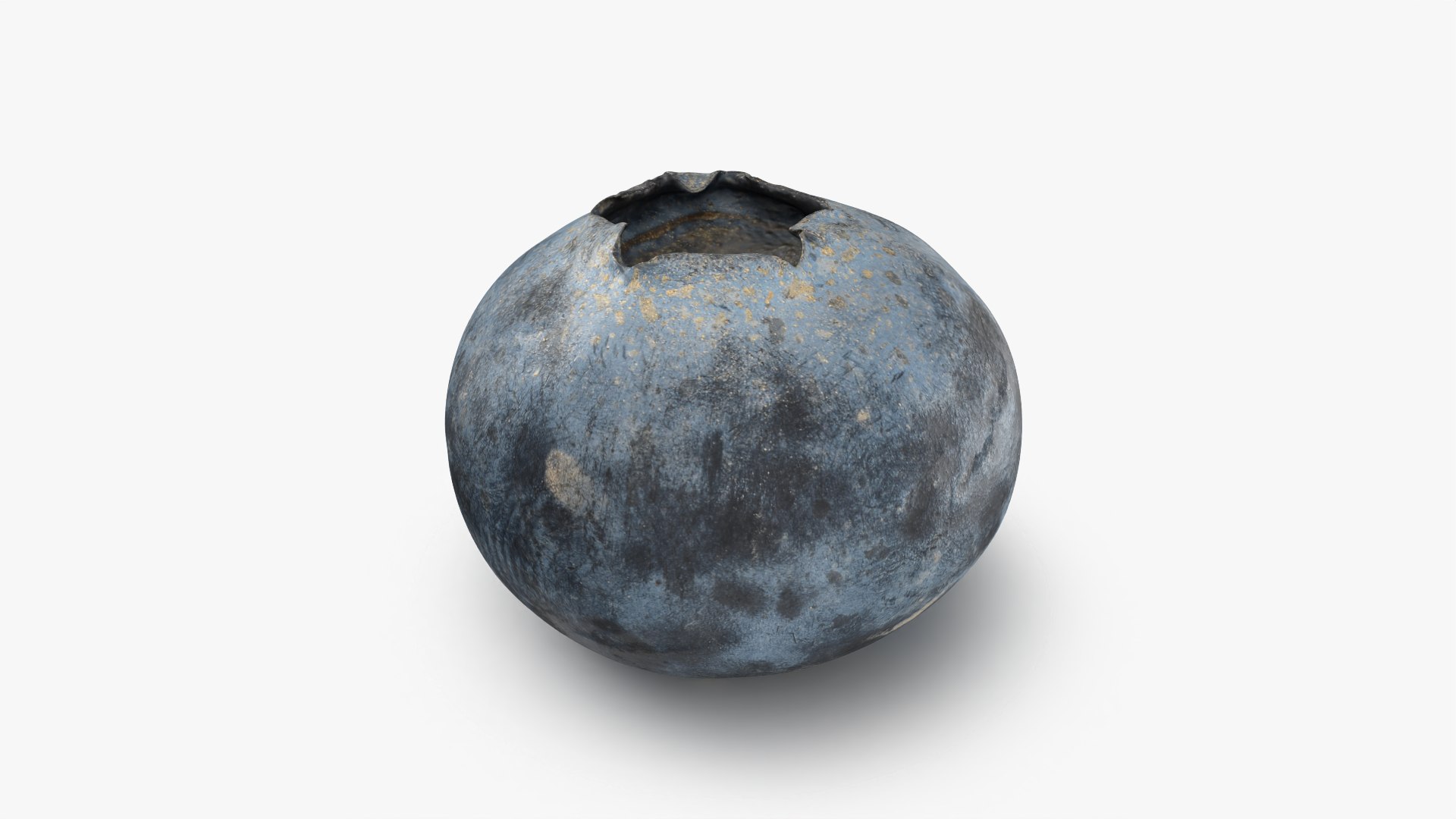Blueberry - 3D Scanned Collection 3D model https://p.turbosquid.com/ts-thumb/av/CuJTsE/fD/blueberry01_0001/png/1773422905/1920x1080/fit_q87/9970b80d180c240dbcda88a4d6abeb493b24552a/blueberry01_0001.jpg