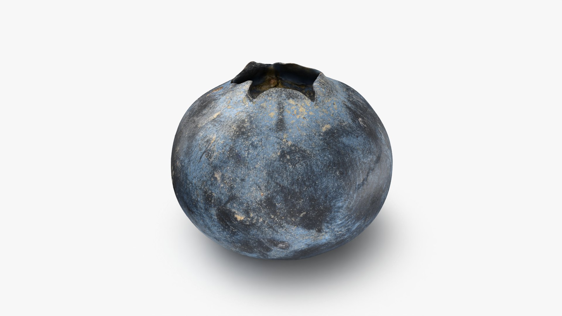 Blueberry - 3D Scanned Collection 3D model https://p.turbosquid.com/ts-thumb/av/CuJTsE/m8/blueberry03_0001/png/1773422939/1920x1080/fit_q87/1405084143f574566e38203c9e35768243c6df99/blueberry03_0001.jpg