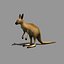 kangaroo obj