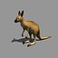 kangaroo obj