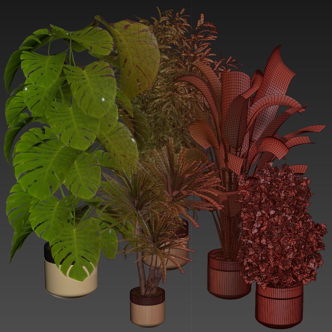 3D Collection plant vol 528 - banana - aspidistra  - palm - bush https://p.turbosquid.com/ts-thumb/av/HilePK/oj/6/jpg/1695875795/1920x1080/fit_q87/7c78032c050addd23313a2549d5c7f6e4fff99d5/6.jpg