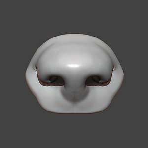 Dog Puppy Nose Highpoly Sculpt 3D model