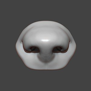 Dog Puppy Nose Highpoly Sculpt