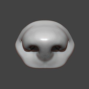Dog Puppy Nose Highpoly Sculpt