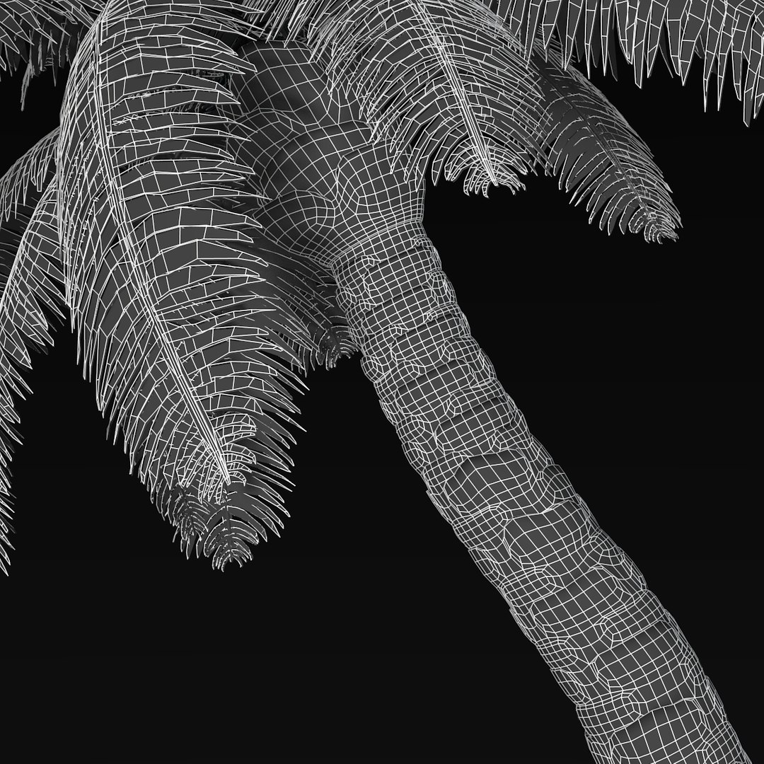 3d palm tree https://p.turbosquid.com/ts-thumb/av/dpdgQN/Q9Qm8uDc/wireframe2/png/1328244720/1920x1080/fit_q87/a5274602dd4366082e2be3c47feeff8dfa574fd7/wireframe2.jpg