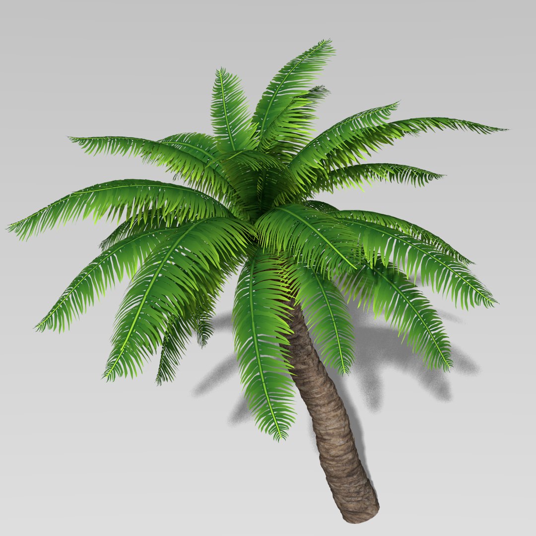 3d palm tree https://p.turbosquid.com/ts-thumb/av/dpdgQN/zW9e9qIl/thumbnail5/png/1328244686/1920x1080/fit_q87/8176bb7166c180aa1b31cfc47d11d3269021f363/thumbnail5.jpg