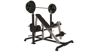 Inclined Bench Press 3D model
