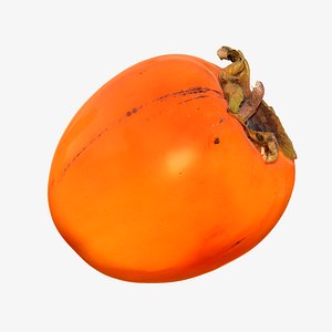 3d persimmon cleaned retopologized scan