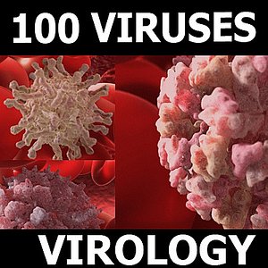 100 Virus Models