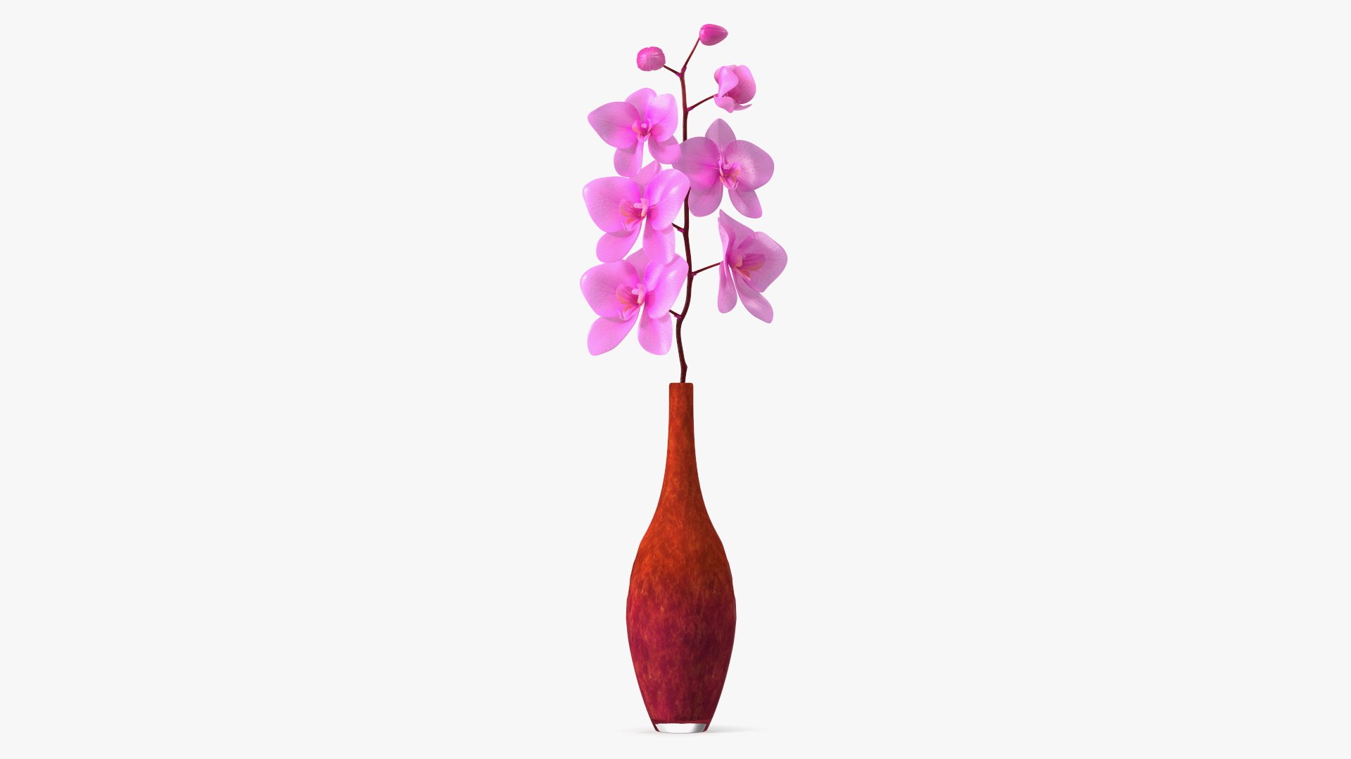 Small Pink Orchid in Glass Vase 3D model preview