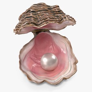 3D Pearl Inside Oyster Shell
