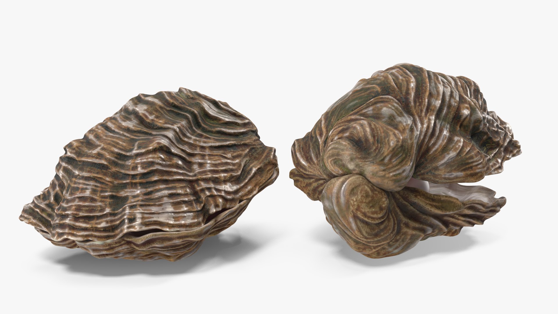 3D Pearl Inside Oyster Shell https://p.turbosquid.com/ts-thumb/aw/HEPBfl/i1/reproduction__pearl_inside_oyster_shell_020/jpg/1751363828/1920x1080/fit_q87/8ae6b69589a9ded88bc0fe090d87c373c0c20be9/reproduction__pearl_inside_oyster_shell_020.jpg