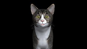 cat