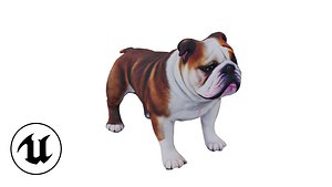 Realistic bulldog low poly