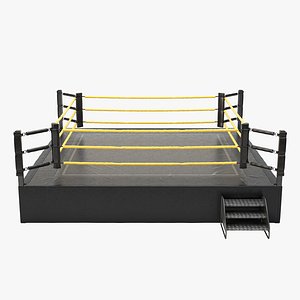 Wrestling Ring REGULATION SIZE model