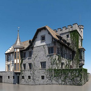 3d model castle