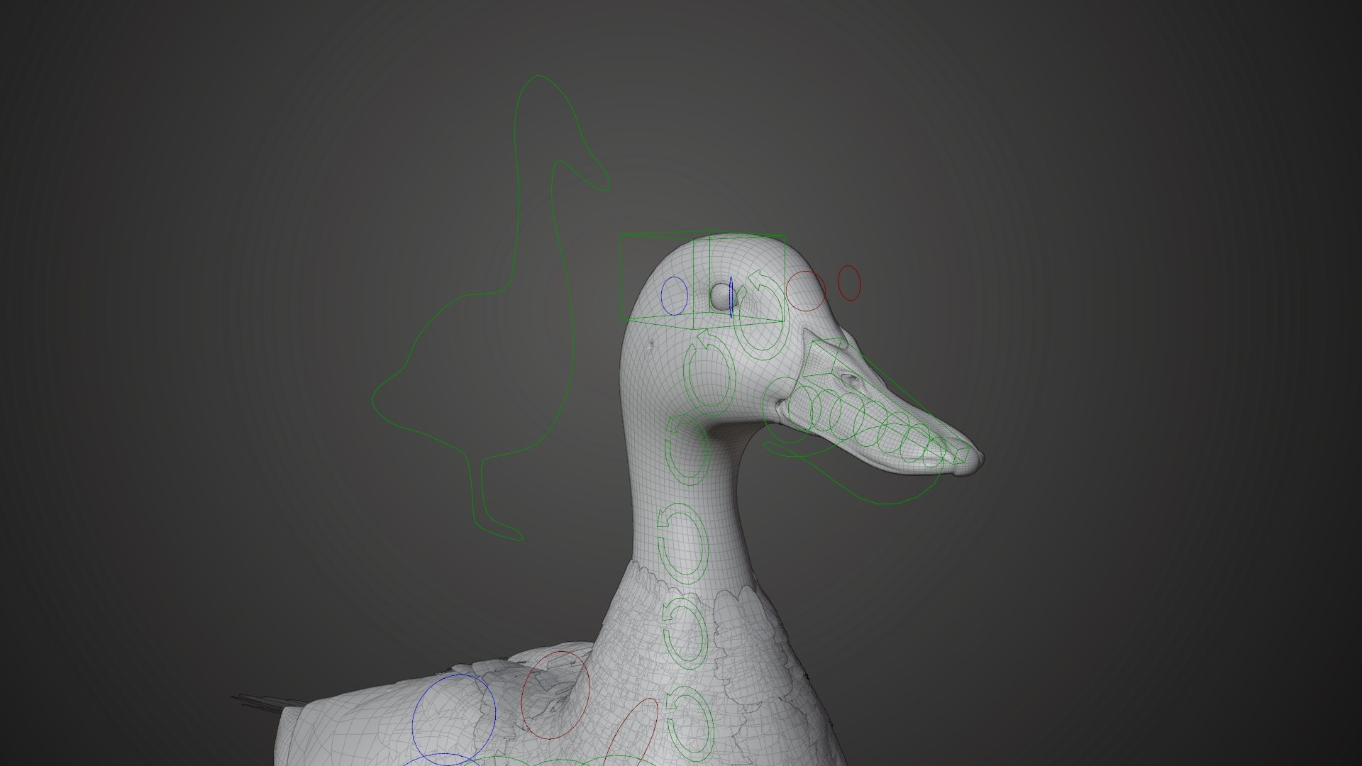 Male Mallard Animation 3D model https://p.turbosquid.com/ts-thumb/aw/xdIEUN/Lo/jf0l219a6_mallard_male_rig04/jpg/1684313909/1920x1080/fit_q87/18b95e4fe297704f32b9e6b04a7ed245cdbd4a24/jf0l219a6_mallard_male_rig04.jpg