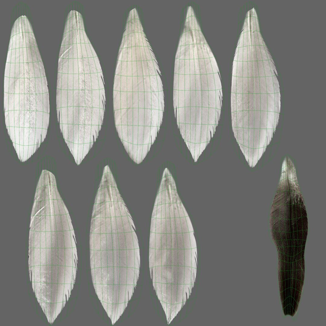 Male Mallard Animation 3D model https://p.turbosquid.com/ts-thumb/aw/xdIEUN/Xf/jf0l219a6_mallard_male_uv018/jpg/1684313929/1920x1080/fit_q87/1a1ee68f2ca8ac466960d9a18987b51e85c57265/jf0l219a6_mallard_male_uv018.jpg