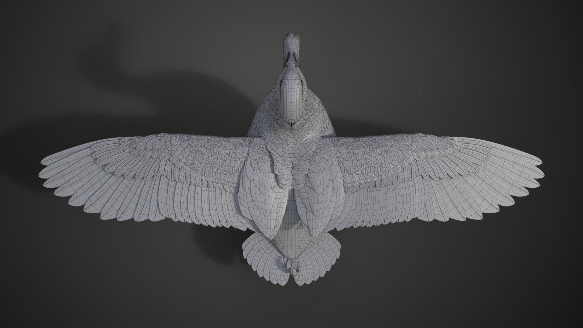 Male Mallard Animation 3D model https://p.turbosquid.com/ts-thumb/aw/xdIEUN/kh/jf0l219a6_mallard_male_wire04/jpg/1684313924/1920x1080/fit_q87/f6a64a4e58d42206aa08b9bcf6d404529707bcc0/jf0l219a6_mallard_male_wire04.jpg