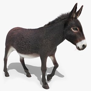 Walking Domestic Donkey Fur Animated Rigged for Blender 3D model