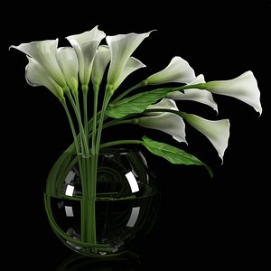 3d model calla lily