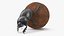 Mud Beetle Pushing Sphere Fur