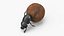 Mud Beetle Pushing Sphere Fur
