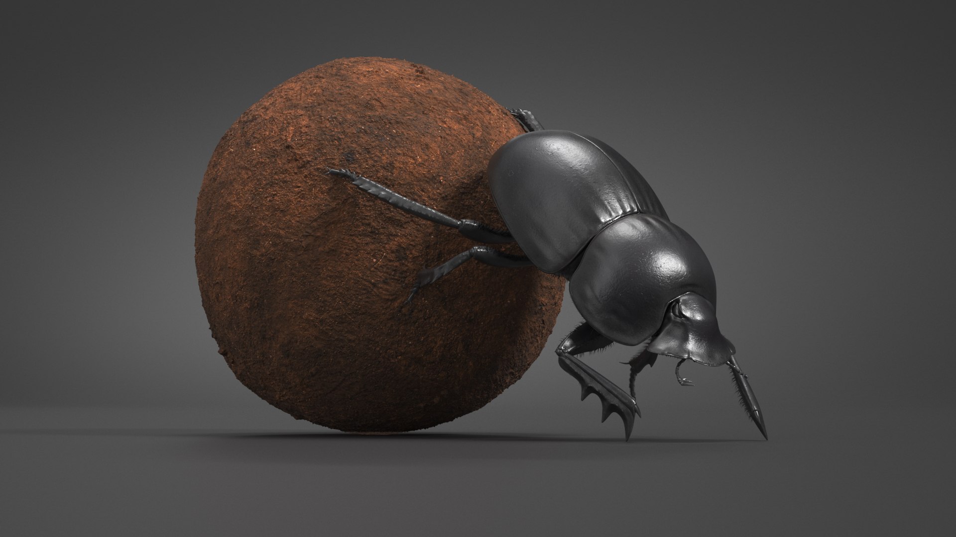 Mud Beetle Pushing Sphere Fur 3D model https://p.turbosquid.com/ts-thumb/ax/5qzWR1/h6/mud_beetle_pushing_sphere_fur_005/jpg/1729501880/1920x1080/fit_q87/e7b2d009fabcb7cd262f9da04369cefbb5d055af/mud_beetle_pushing_sphere_fur_005.jpg