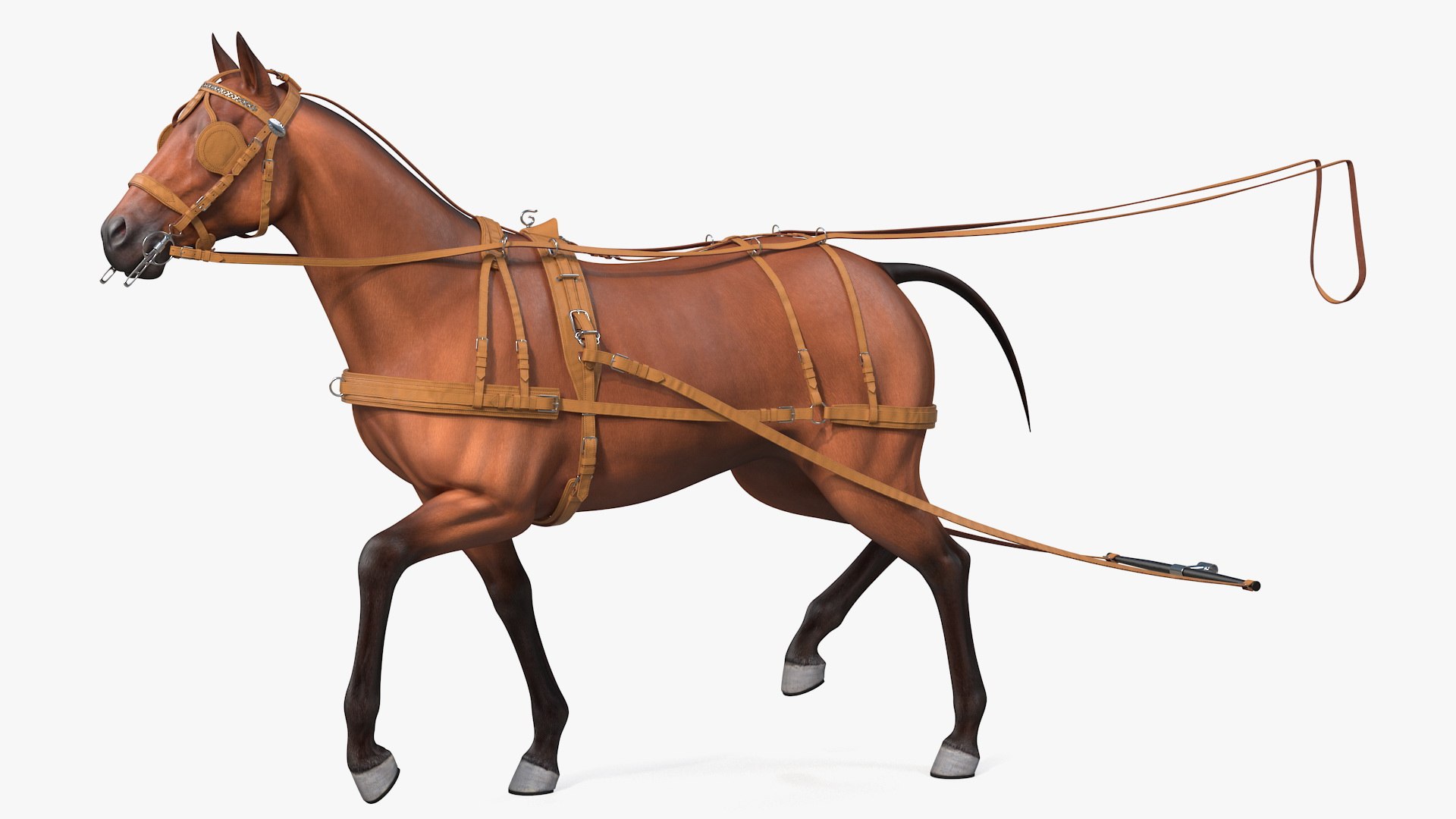 Horse Drawn Leather Driving Harness Rigged for Modo 3D model preview
