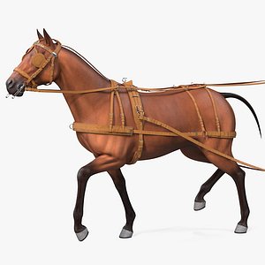 3D model horse drawn leather driving