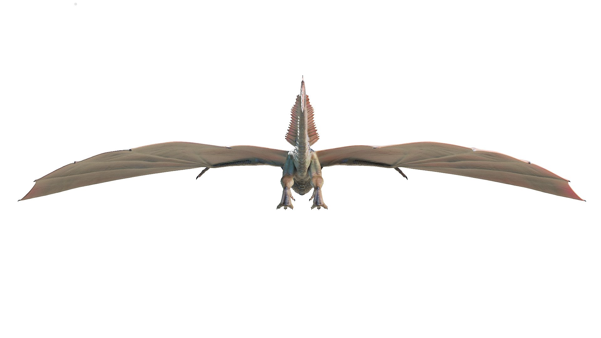 dragon wyvern 3D model https://p.turbosquid.com/ts-thumb/ax/ElpjZD/4p0TRodP/dragon0003/jpg/1602666023/1920x1080/fit_q87/75cf9d2872da39c579b442e50912cb693d822287/dragon0003.jpg