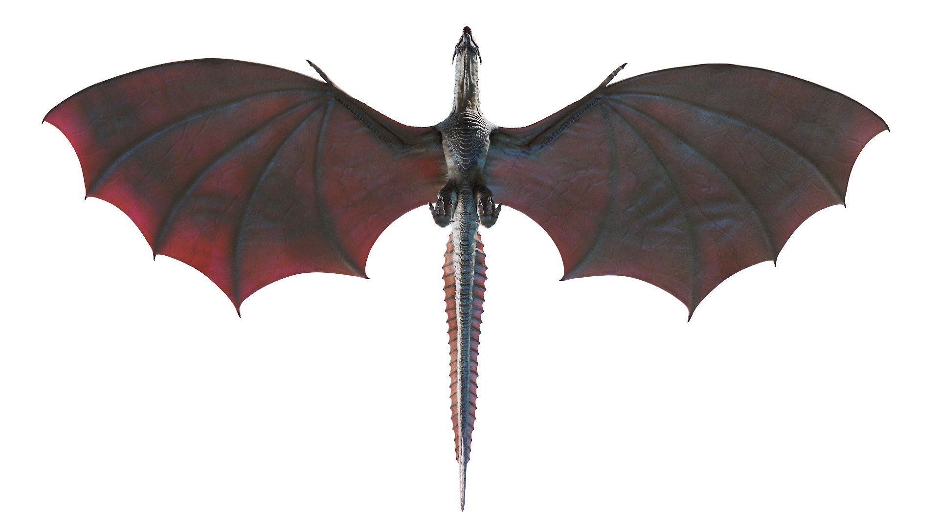 dragon wyvern 3D model https://p.turbosquid.com/ts-thumb/ax/ElpjZD/784AUPOG/dragon0005/jpg/1602666023/1920x1080/fit_q87/458422d131a5cd640a81e3ba6256453ded4c338d/dragon0005.jpg
