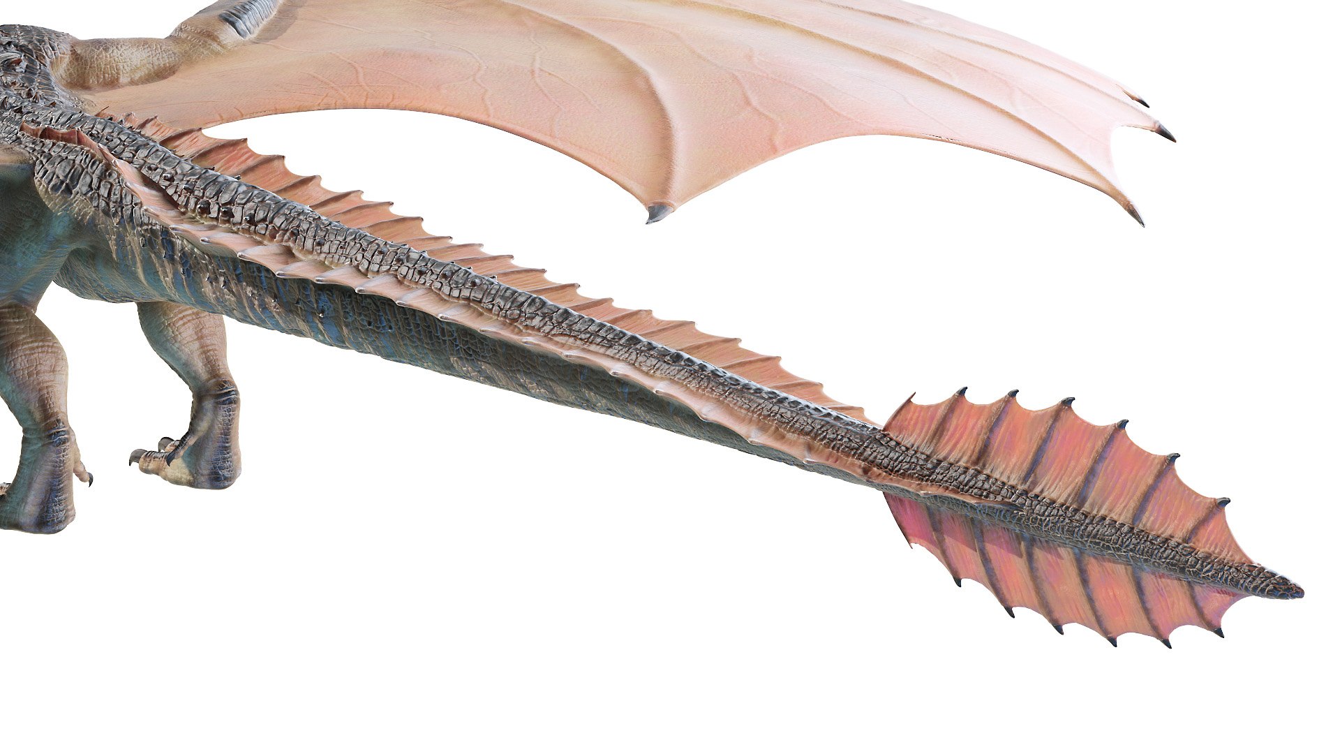 dragon wyvern 3D model https://p.turbosquid.com/ts-thumb/ax/ElpjZD/IZ4OH0XS/dragon0011/jpg/1602666023/1920x1080/fit_q87/a81a3f88a1a6ca1ab4e558e7649c2c03762e6c27/dragon0011.jpg