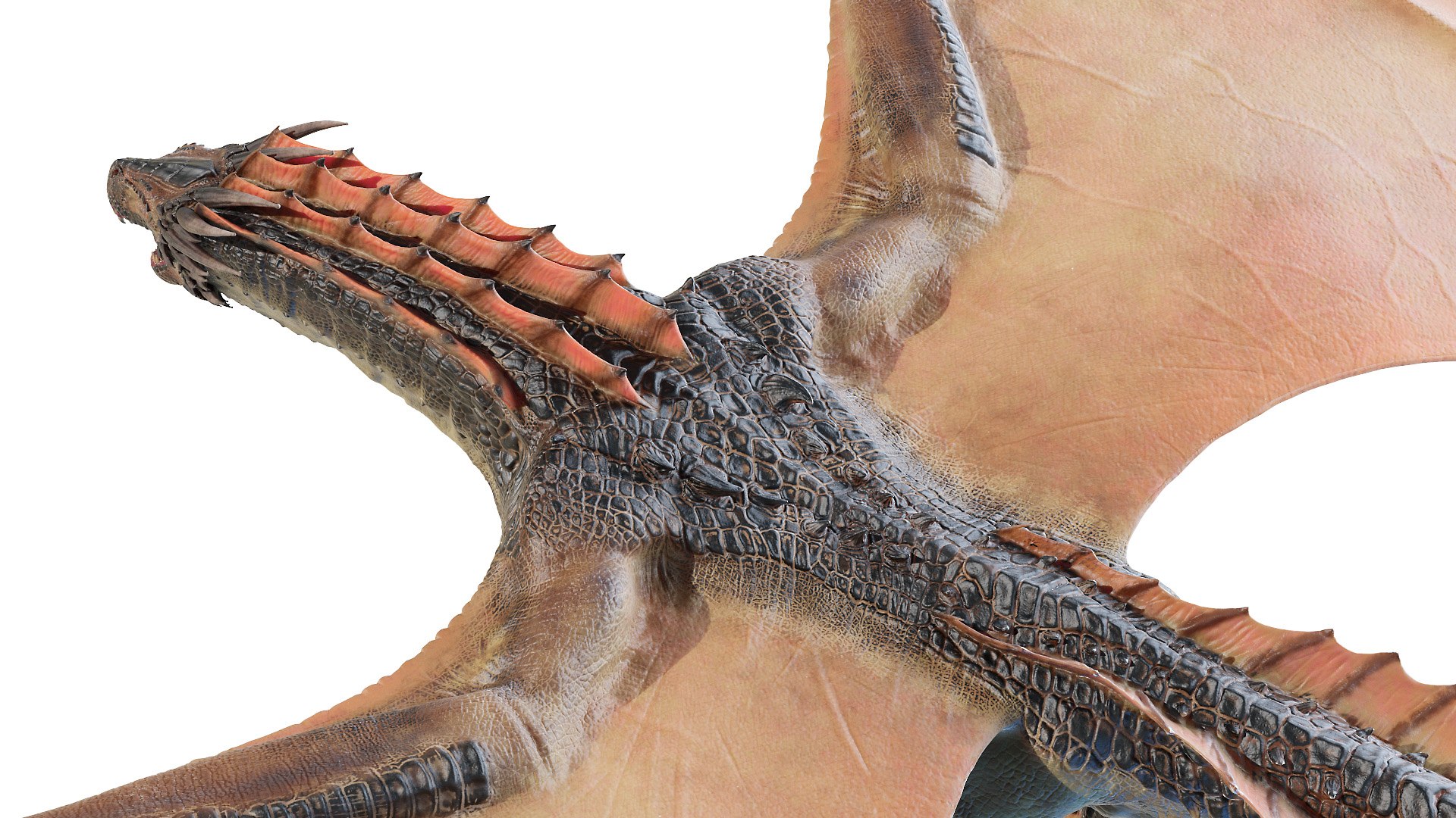dragon wyvern 3D model https://p.turbosquid.com/ts-thumb/ax/ElpjZD/MRR5ZdpD/dragon0012/jpg/1602666023/1920x1080/fit_q87/7ff623eca3ecd8bbb9c00477ee5da34bc143df49/dragon0012.jpg