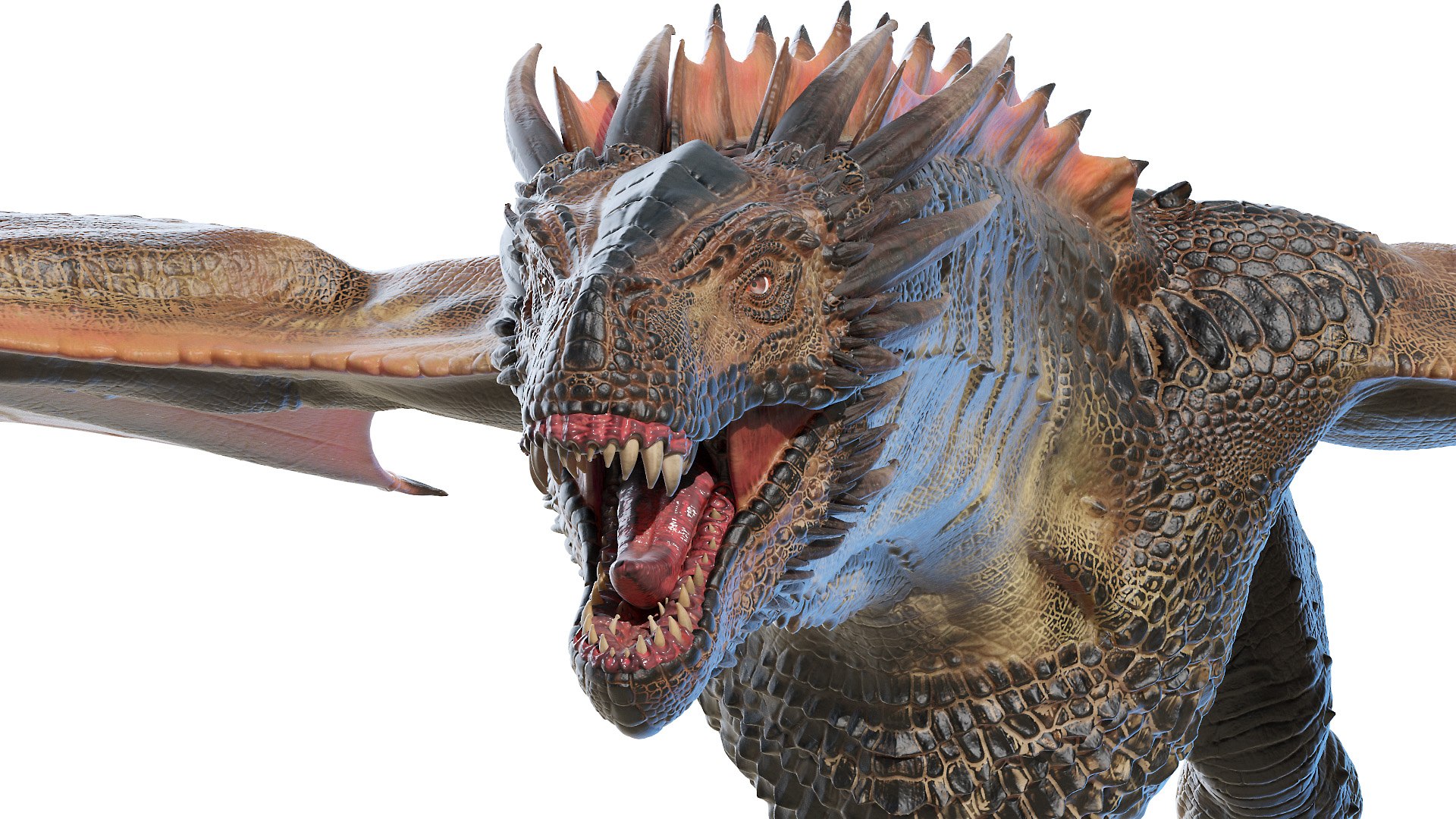 dragon wyvern 3D model https://p.turbosquid.com/ts-thumb/ax/ElpjZD/McmxCAWi/dragon0015/jpg/1602666025/1920x1080/fit_q87/95fff795490780ea139543110409eedc5b741123/dragon0015.jpg