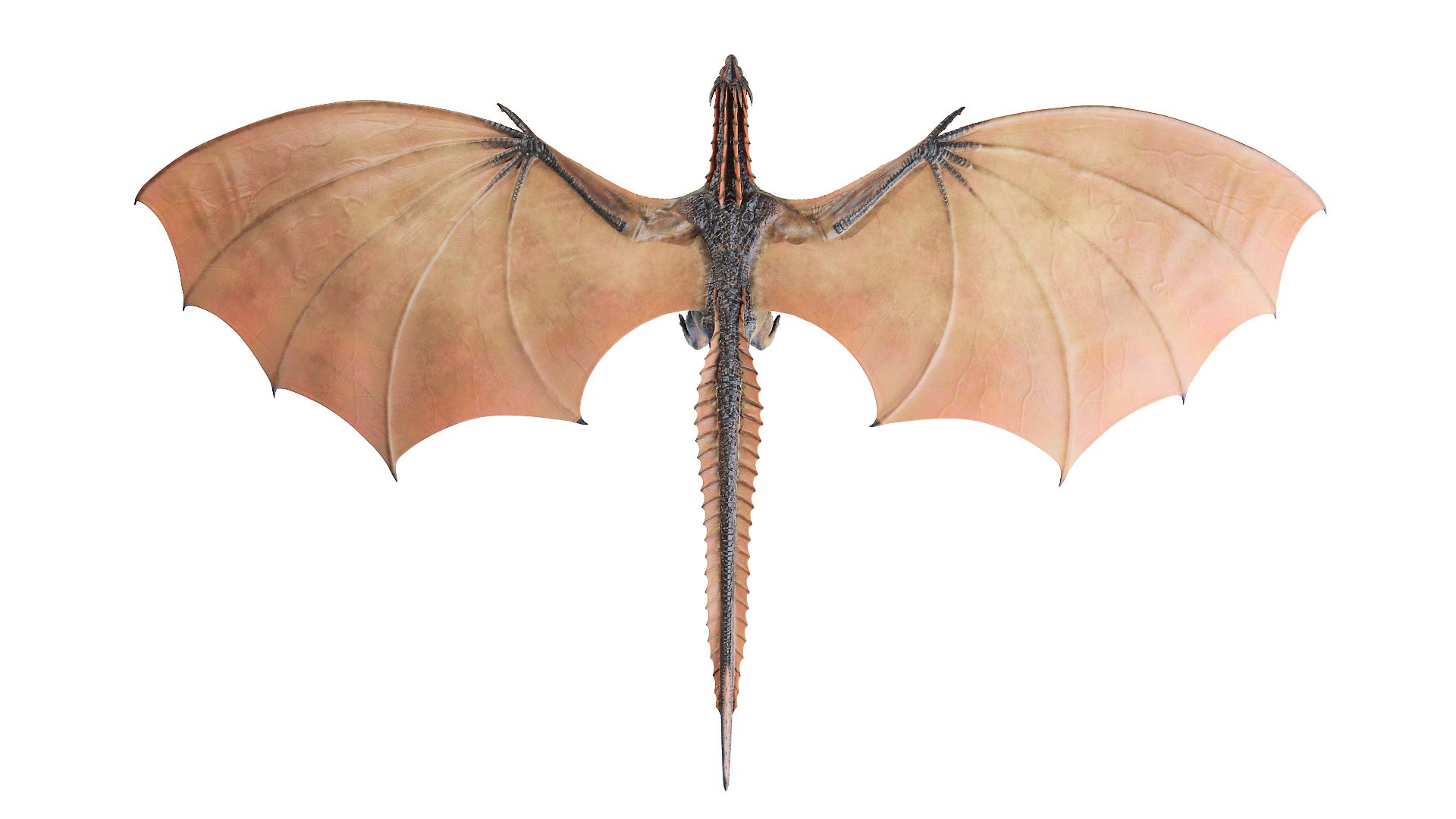 dragon wyvern 3D model https://p.turbosquid.com/ts-thumb/ax/ElpjZD/fCjC3OzI/dragon0002/jpg/1602666023/1920x1080/fit_q87/12d9e02109e3d13f249955993303dccc6c3fbf74/dragon0002.jpg