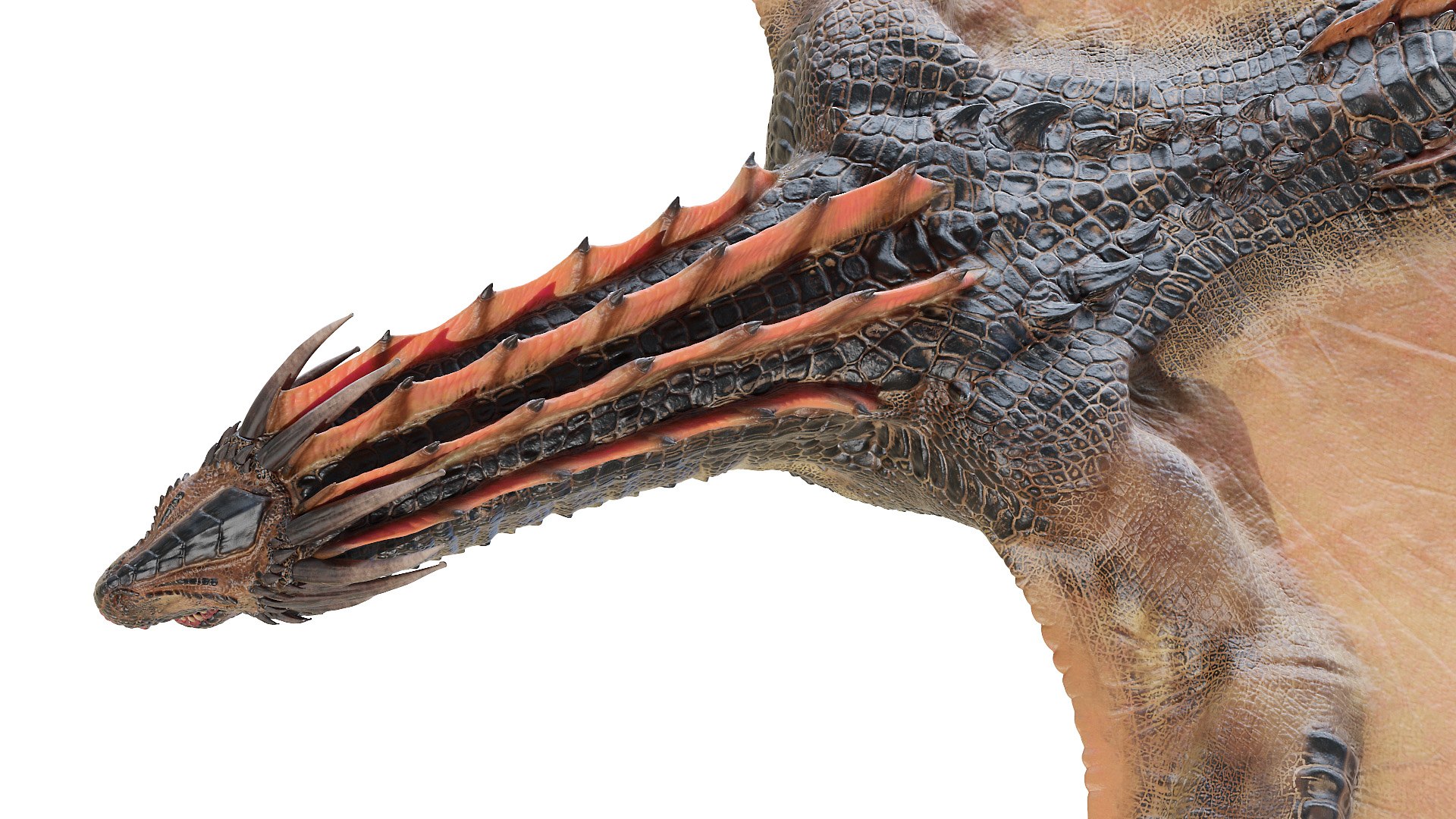 dragon wyvern 3D model https://p.turbosquid.com/ts-thumb/ax/ElpjZD/j05tIOh0/dragon0014/jpg/1602666025/1920x1080/fit_q87/13df93eb8531abd03286c056d438c93979a9a4d6/dragon0014.jpg