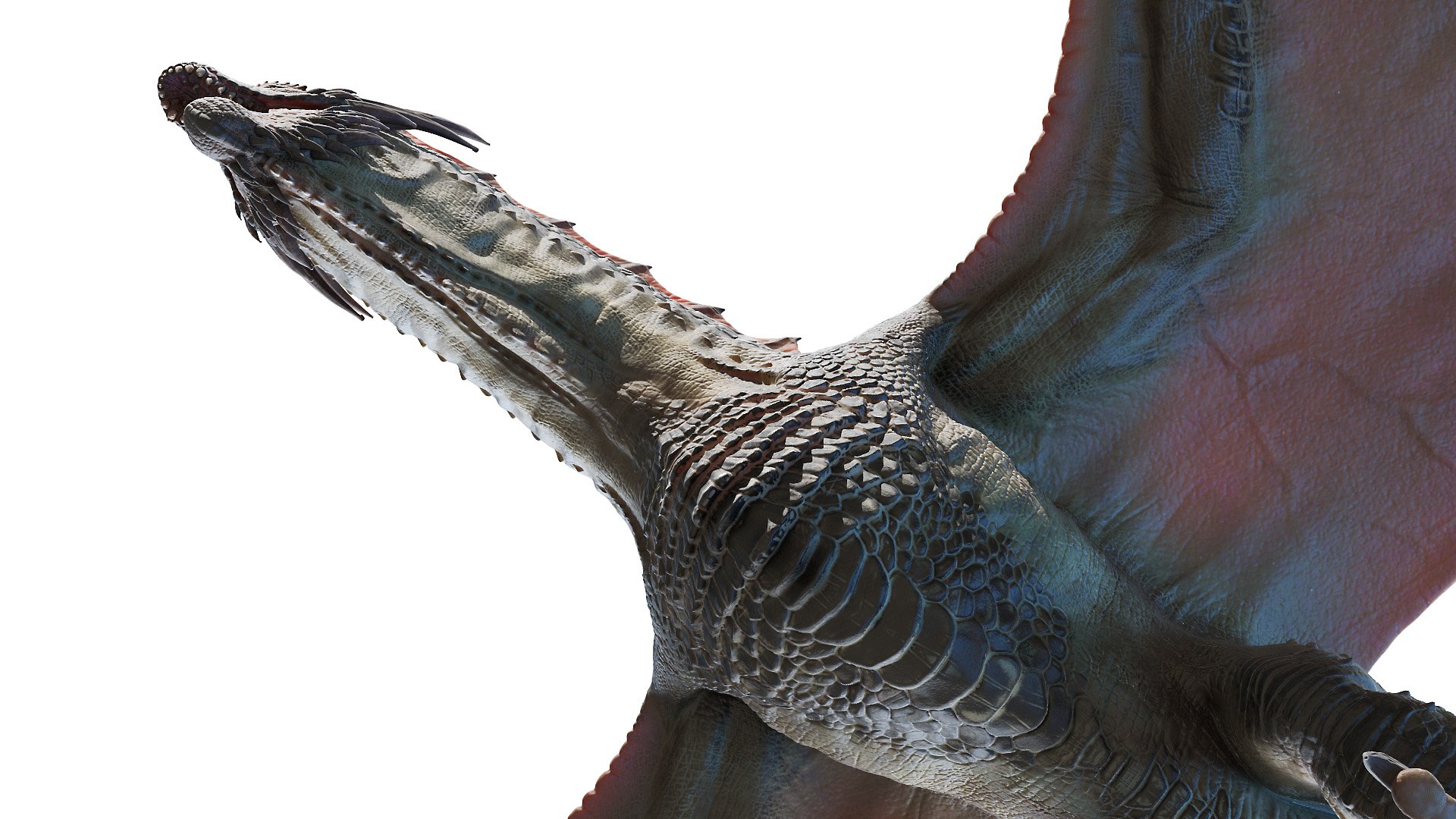 dragon wyvern 3D model https://p.turbosquid.com/ts-thumb/ax/ElpjZD/rKtID5RE/dragon0013/jpg/1602666023/1920x1080/fit_q87/b9805bb3c88561fa0f123f7139ee82546b2625c3/dragon0013.jpg