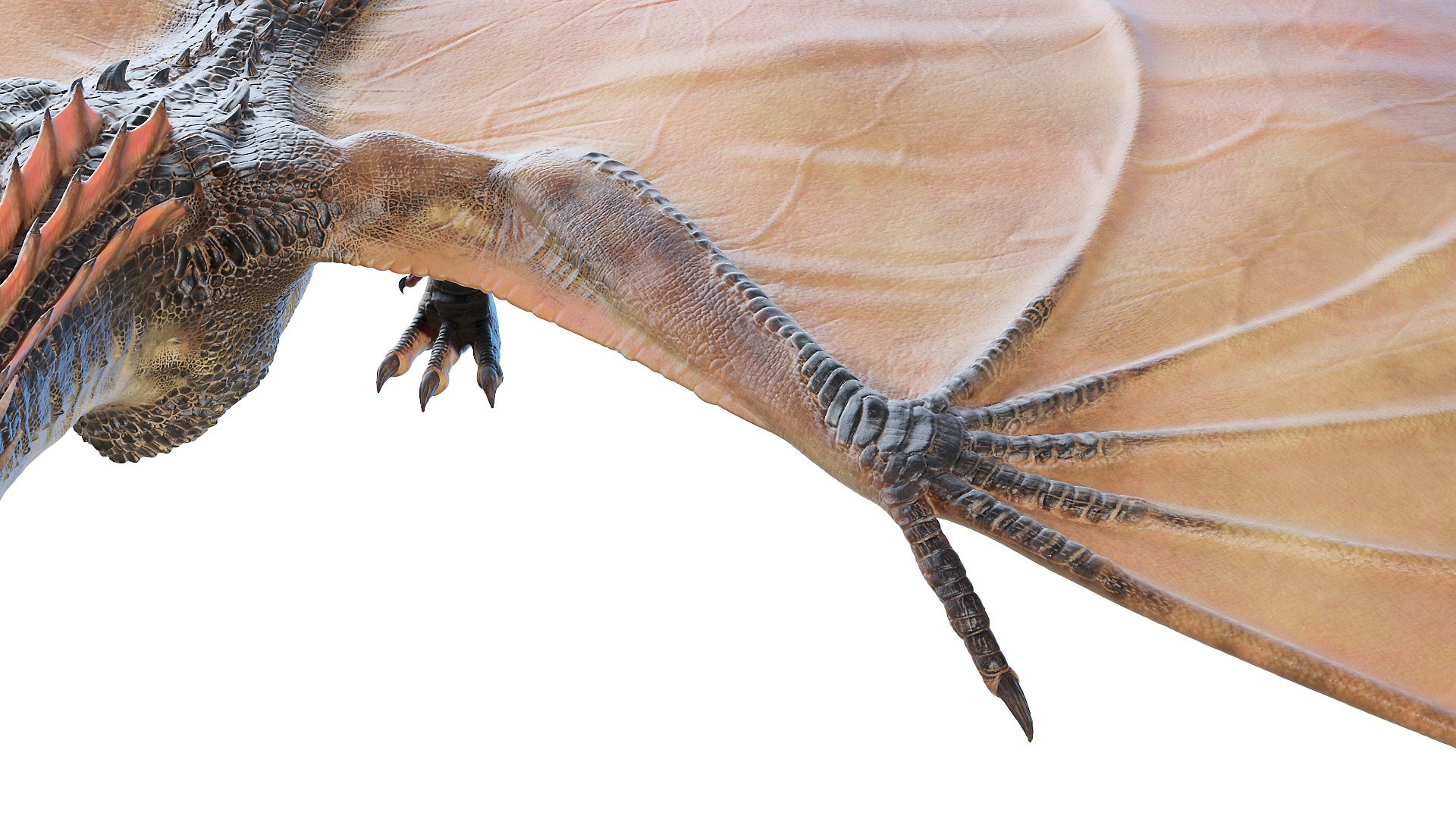 dragon wyvern 3D model https://p.turbosquid.com/ts-thumb/ax/ElpjZD/swUsX9PS/dragon0010/jpg/1602666023/1920x1080/fit_q87/0e74863c583644597adb2c4e1e74b95f0c765f81/dragon0010.jpg