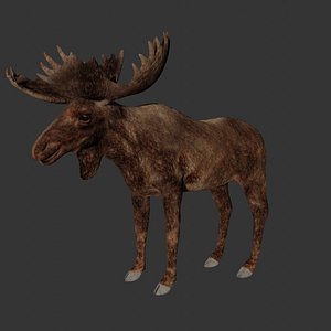 3D Fully rigged lowpoly Moose
