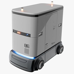 Large Delivery Robot