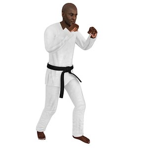 3D rigged karate 4 model