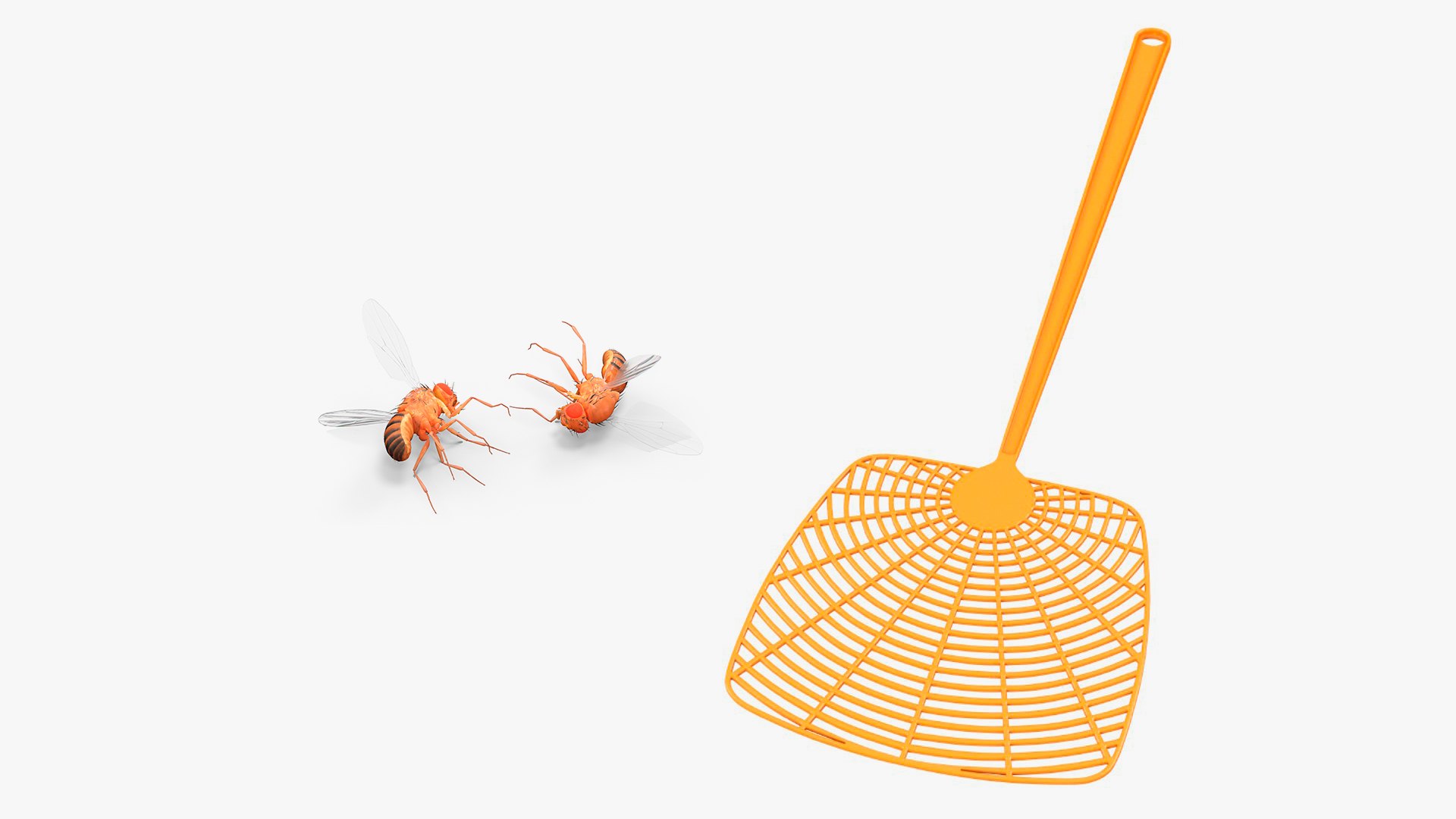 3D model Fly Swatter with Dead Fly Collection https://p.turbosquid.com/ts-thumb/ax/JIZ95U/80/fly_swatter_with_dead_fly_collection_001/jpg/1747390916/1920x1080/fit_q87/435837e6d63c58103f6c41582c16e020516fd8c2/fly_swatter_with_dead_fly_collection_001.jpg